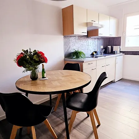 Terrassen-apartment Am Grossen Garten 德累斯顿