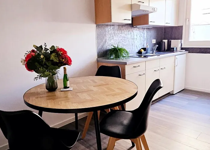 City-studio Barrierearm Terrasse 1 Schlafzimmer Naehe Grosser Garten Δρέσδη